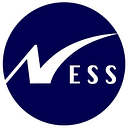 NESS ROMÂNIA SRL