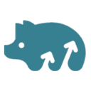 HAM CONSULTING SRL