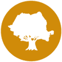 TRANSILVANIA BOIS SRL
