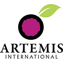 ARTEMIS INTERNATIONAL SRL