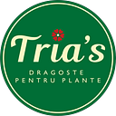 TRIAS AMWAY SRL