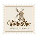 VASILE C & I SRL