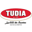TUDIA SRL