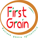 FIRST GRAIN SRL