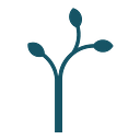 OLMIX ECO S.R.L.