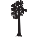 SEQUOIA GROUP SRL