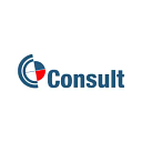 CONSULT CONT SRL