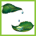 CLEPSIDRA SRL