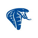 COBRA ENTERPRISES SRL