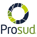 PRO SUD SRL