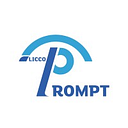 LICCO PROMPT 2000 SRL