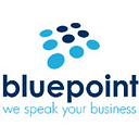 BLUE POINT IT SOLUTIONS SRL