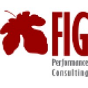 FIG PERFORMANCE CONSULTING SRL