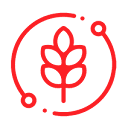 MATOI S.R.L.