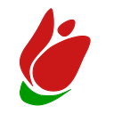 TULIP COMPUTERS S.R.L.