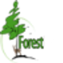 FOREST LAND SRL