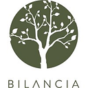 BILANCIA CONSULTING SRL