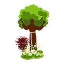 GREEN TIME S.R.L.