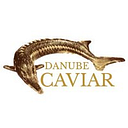 DANUBE RESEARCH-CONSULTING SRL