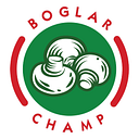 BOGLAR CHAMP SRL