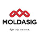MOLDASIG SRL