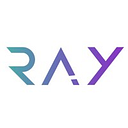 RAY CONSULTING SRL