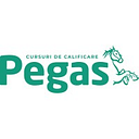 PEGAS CURSURI DE CALIFICARE S.R.L.