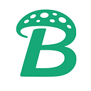 BOLETUS SRL