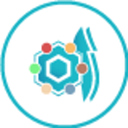 GOMM SRL