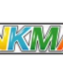 INKMAN SRL