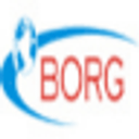 BORG DESIGN SRL