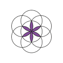 INTERPHARM BIO COSMETICS SRL