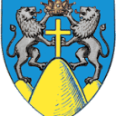 Stema COMUNA COMĂNEŞTI