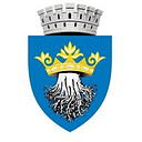 DIRECTIA FISCALA BRASOV