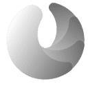 RING SERVICE SRL