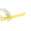 FLORANS S.R.L.