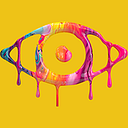 BIG BROTHER INTERNATIONAL SRL