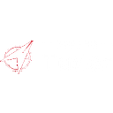 ION TUDOR COM S.R.L.