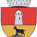 Stema Comuna Dochia