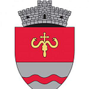 Stema Comuna Ruginoasa