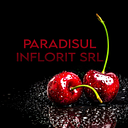 PARADISUL INFLORIT SRL