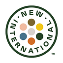 NEW INTERNATIONAL SRL