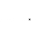 DAXICON SRL