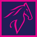 VISTA LEASING IFN (ROMANIA) S.A.