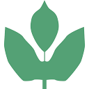 DIEMER SRL