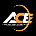 ACE CONSULTING SERVICES SRL
