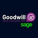 GOODWILL CONSULTING SRL