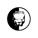 BRAVUS EXIM SRL