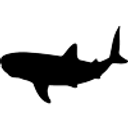 MAKO MANAGEMENT SRL