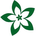 MANDRAGORA SRL